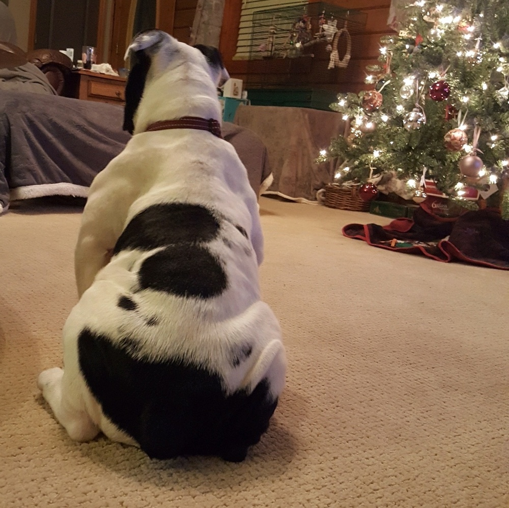 Meet your Posher, Theresa